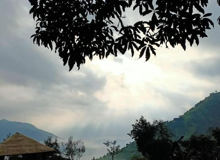 Outdoors view Photo