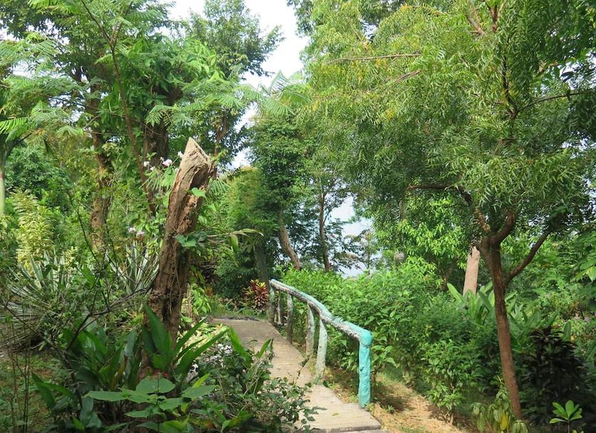 Outdoors view Photo
