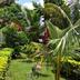 Outdoors view