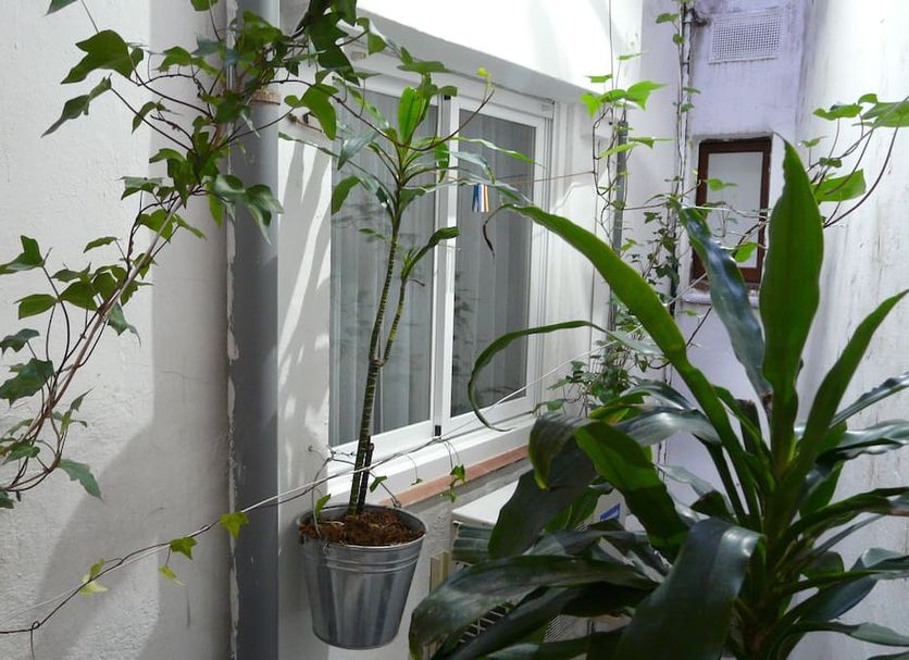 Hotel Alexandra Sitges courtyard with potted plants beside a white window in Sitges