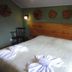 Pousada Atalaia in Campos do Jordão room with double bed, wooden headboard and green walls