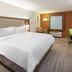 Holiday Inn Express & Suites Chicago O'hare Airport By IHG guest room in Des Plaines with king bed and desk