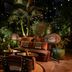 HOLLYWOOD VOLUME, a Tribute Portfolio Hotel in Los Angeles, lush outdoor lounge with tropical plants and string lights