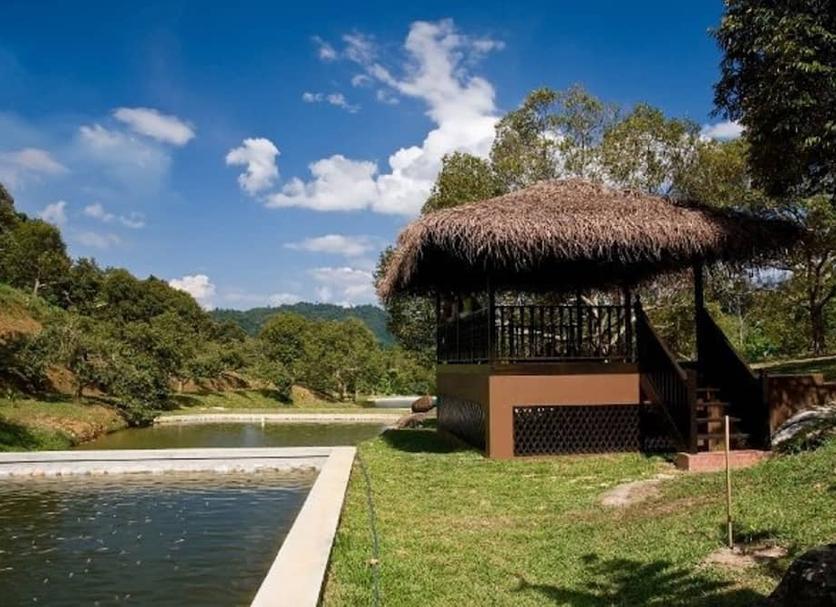 Outdoors view Photo