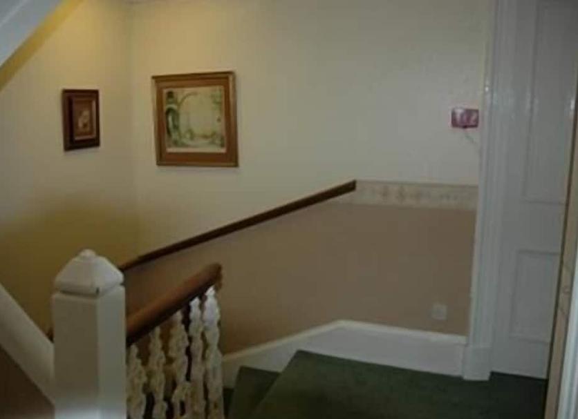 Stairs Photo