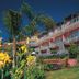 Village Cabo Girao in Câmara de Lobos with palm trees, landscaped gardens, and sea-view balconies