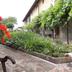 Outdoors view