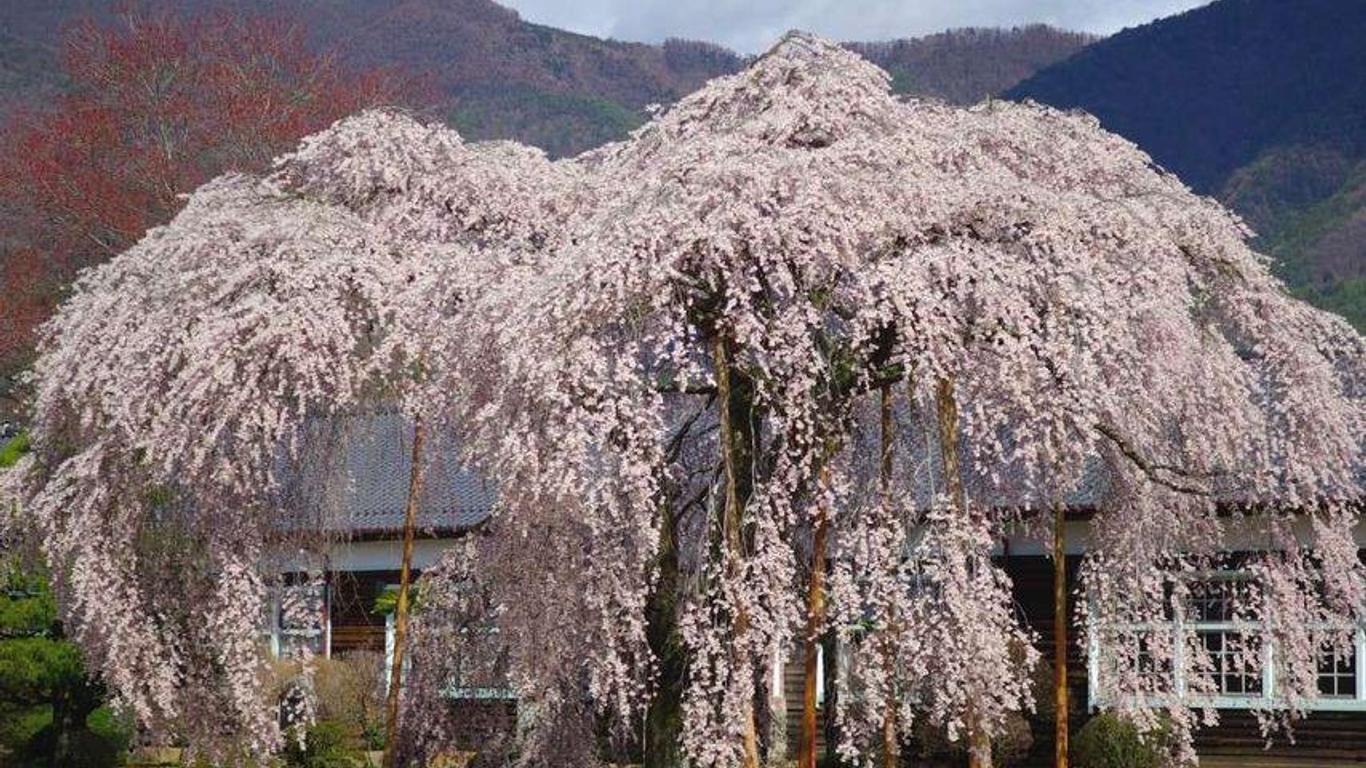 Ryokan Otaya