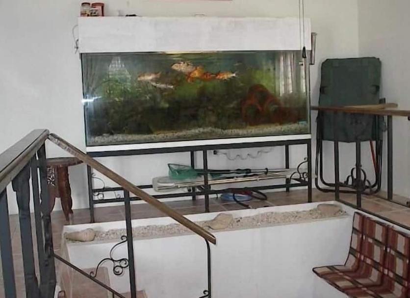 Other Photo