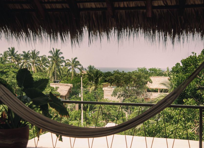 Casa Marisa in Puerto Escondido with a hammock overlooking lush palms and the ocean