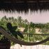 Casa Marisa in Puerto Escondido with a hammock overlooking lush palms and the ocean