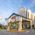 Hampton Inn & Suites Ft. Lauderdale Airport/South Cruise Port in Hollywood exterior with palm trees