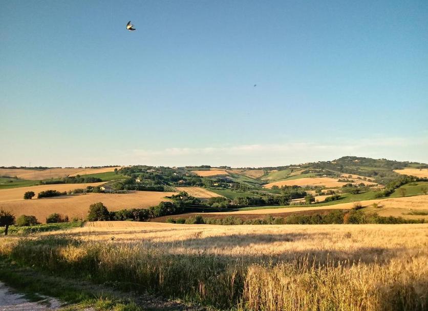 Outdoors view Photo