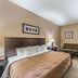 Quality Inn West Plano - Dallas guest room with king bed, sofa, desk, TV and luggage bench in Plano
