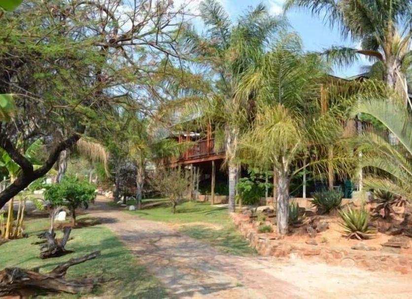 Outdoors view Photo