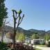 Outdoors view