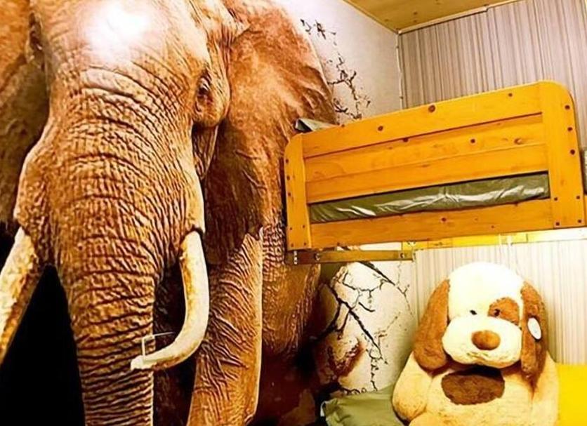 Room amenity Photo