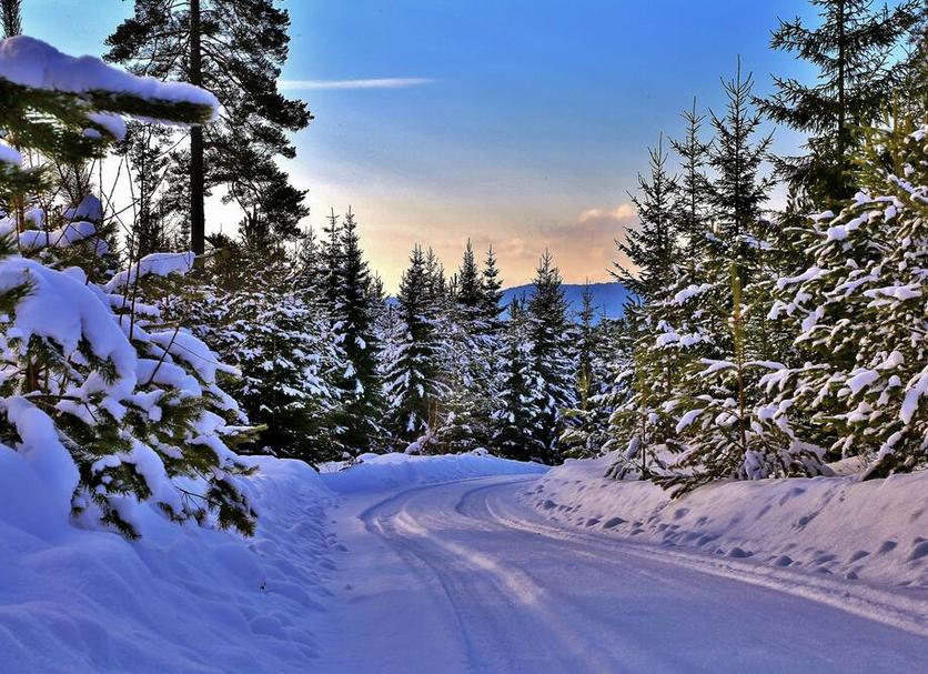 Outdoors view Photo