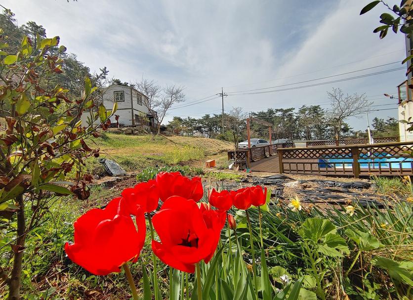 Outdoors view Photo