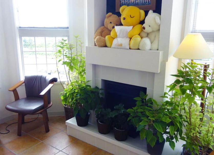 Room amenity Photo