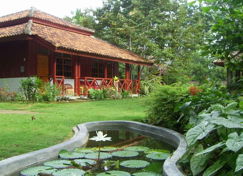 Other Photo