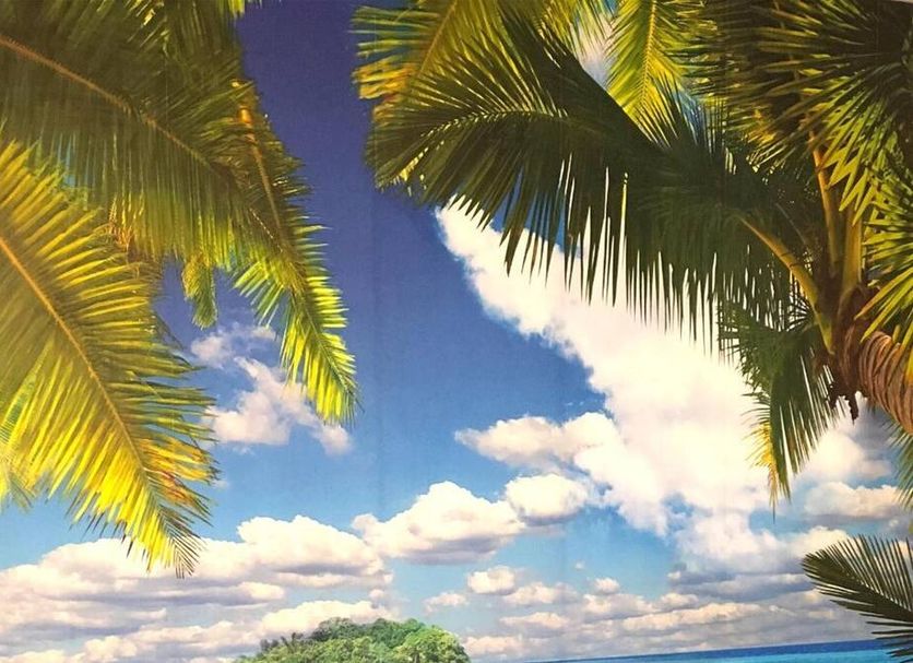 I Faraglioni, Terrasini: palm fronds framing a bright blue sky with clouds