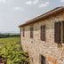 Villa Di Sotto in Castelnuovo Berardenga: stone villa with open shutters and countryside view