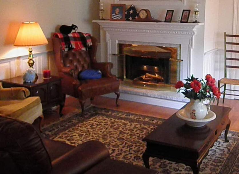 Living room Photo