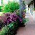 Outdoors view
