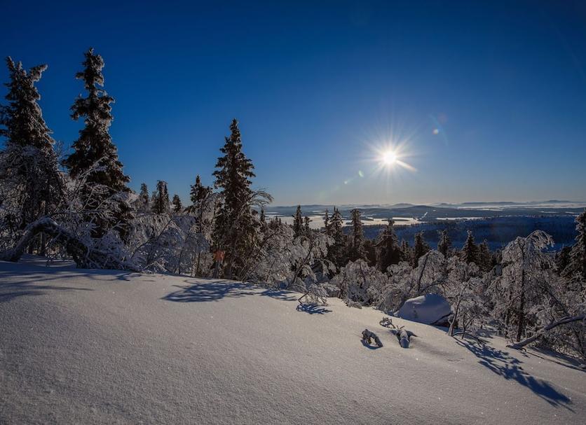 Outdoors view Photo