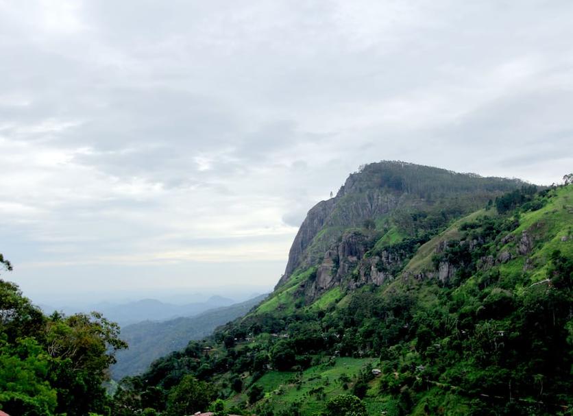 Outdoors view Photo