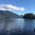 Cobble Wood and Bird Sanctuary Guest Houses in Tofino with serene lake, forested island and mountain views