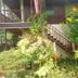 Outdoors view