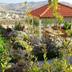 Outdoors view