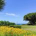 Outdoors view