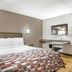 Red Roof Inn Tinton Falls-Jersey Shore guest room with queen bed, desk, chair and wall art in Tinton Falls