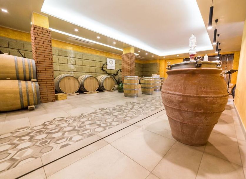 Resort & Winery Bosco De Medici in Pompei wine cellar with barrels and large terracotta amphora