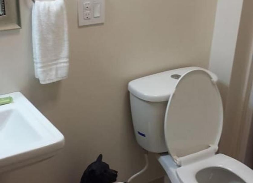 Bathroom Photo