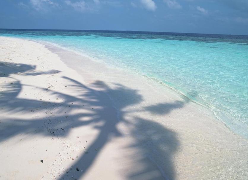 Beach Photo