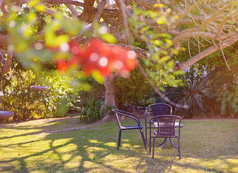 Patio Photo