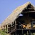 Crater Forest Tented Camp in Karatu, thatched safari tent cabin with balcony and outdoor seating