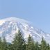 Mountain Meadows Inn & Chalet Suites in Ashford with snowcapped mountain and evergreen trees