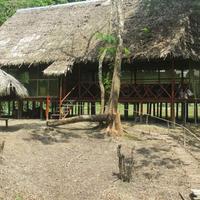 Jungle Explorer Lodge