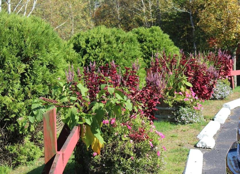 Outdoors view Photo