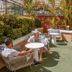 Il Palazzo Holiday Apartments Cairns outdoor courtyard seating with potted palms and lounge chairs