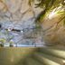 Park Hotel Tyrrenian in Amantea: indoor grotto pool with rock walls, steps and lush greenery