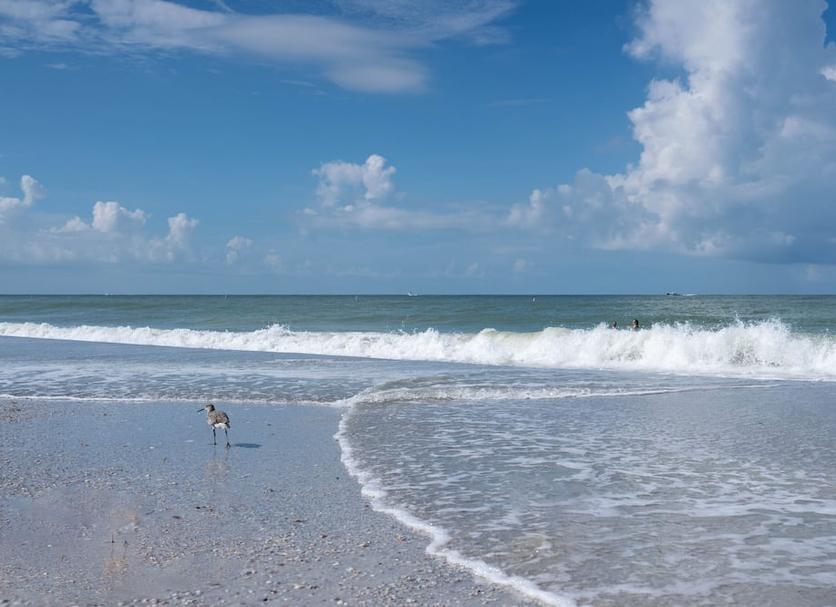 Beach Photo