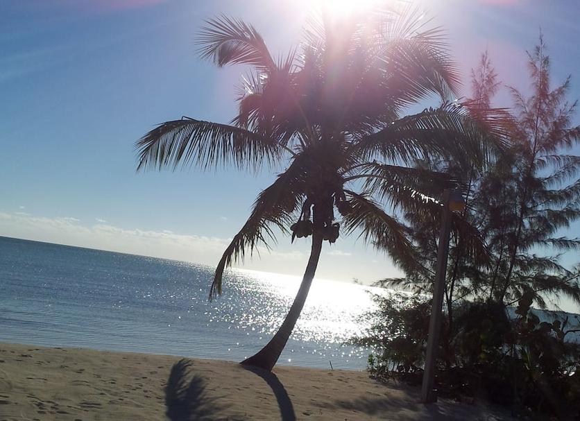 Beach Photo