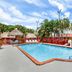 Pool area at Super 8 by Wyndham Florida City/Gateway to Keys/Everglades in Florida City with palm trees and lounge chairs