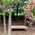 Outdoors view